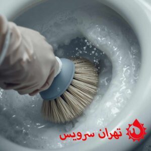 لیمو تازه یا پودر اسید سیتریک راهکار ارزان جرم گیر سنگ توالت