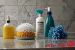 جرم گیر سنگ توالت