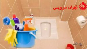 روش های شیمیایی جرم گیر سنگ توالت