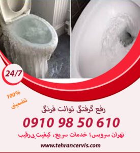 دلایل گرفتگی توالت فرنگی