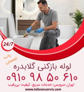 درآوردن اشیا از توالت